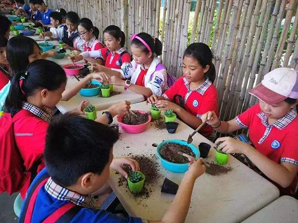 幼儿秋游研学