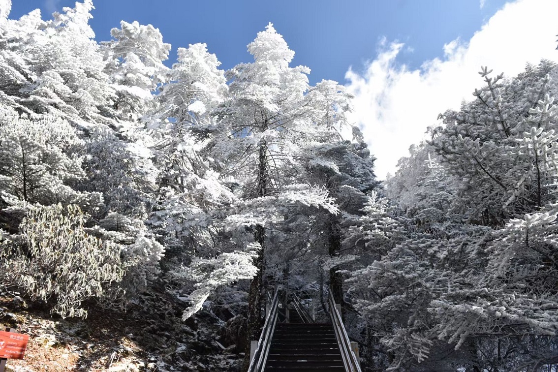 昆明轿子雪山雪景