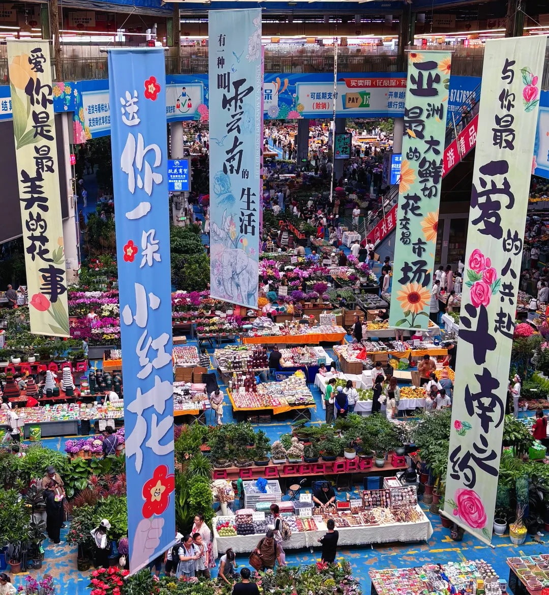 云南旅游,云南旅行社,云南团建公司,云南策划公司,昆明旅游,昆明旅行社,昆明团建公司,昆明策划公司,昆明会议会展：藏在春城，属于昆明人的浪漫！