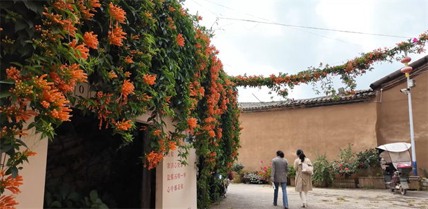 云南旅游,云南旅行社,云南团建公司,云南策划公司,云南会议会展,昆明旅游,昆明旅行社,昆明团建公司,昆明策划公司,昆明会议会展：一墙诗情画意，半日烟火人间！走进雁塔村，点燃深秋的浪漫与闲适~