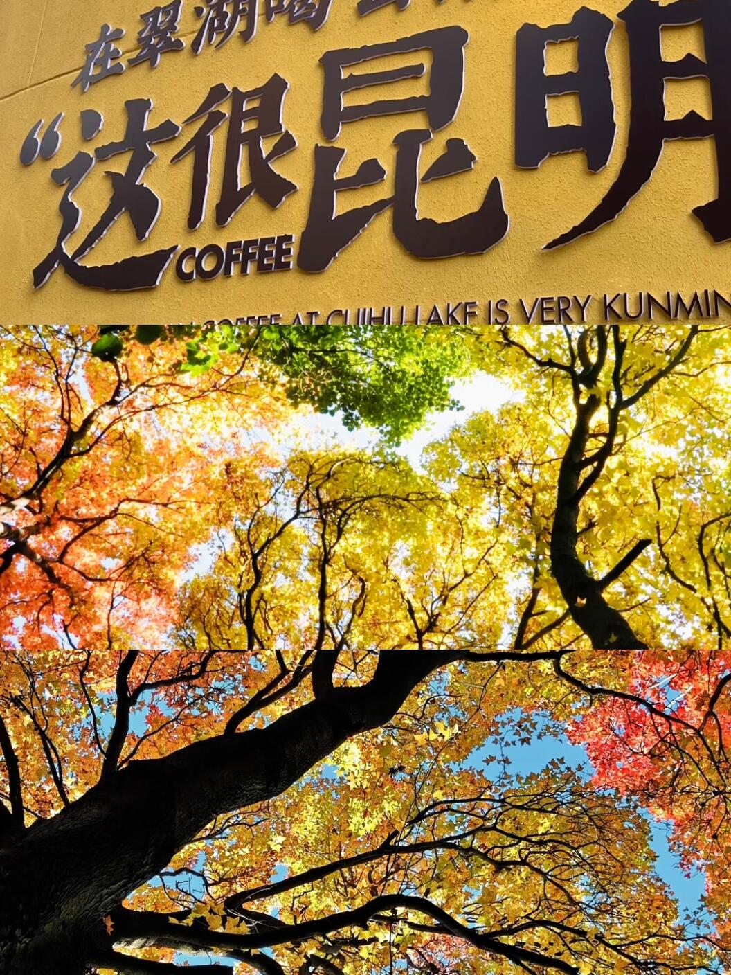 冬天旅游推荐！别再卷三亚了！昆明的冬天才是真宝藏 18℃的暖阳晒得人懒洋洋，滇池边喂海鸥