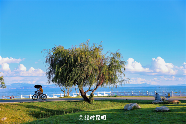 昆明旅游：忙趁东风放纸鸢！去有风的地方，在官渡放飞春日好春光~
