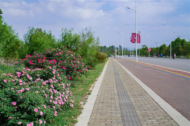 昆明旅游：报告！晋宁有条路偷偷美成了童话世界